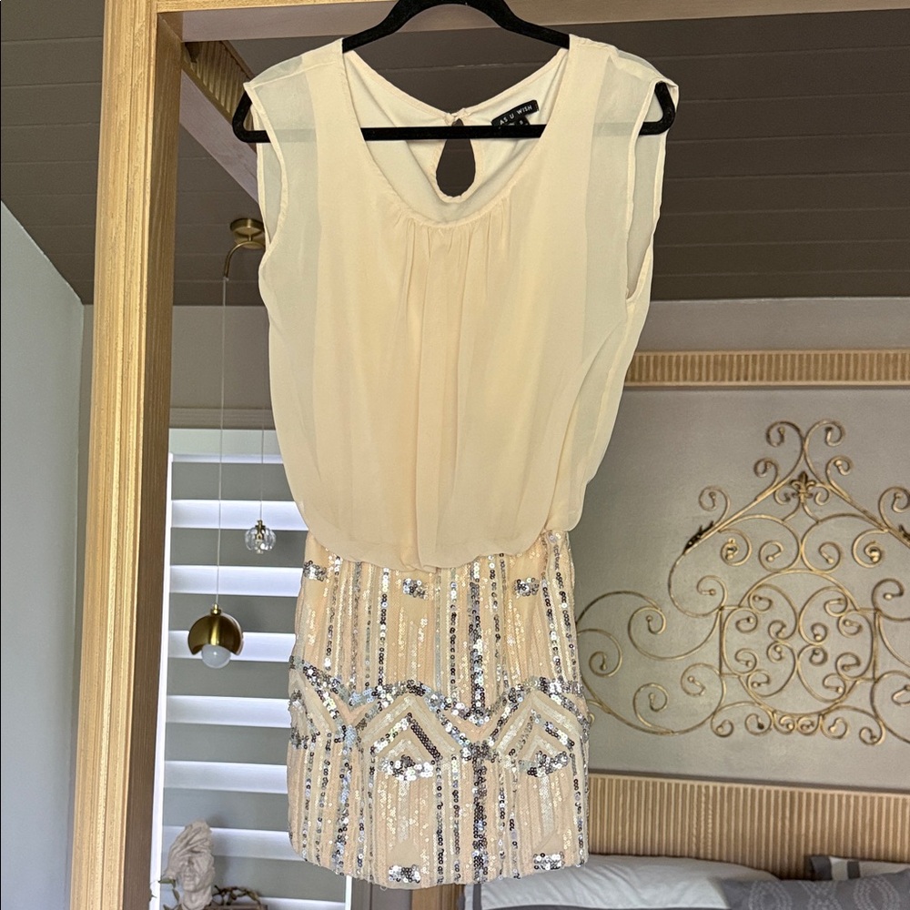 Elegant Cream and Silver Sequin Dress